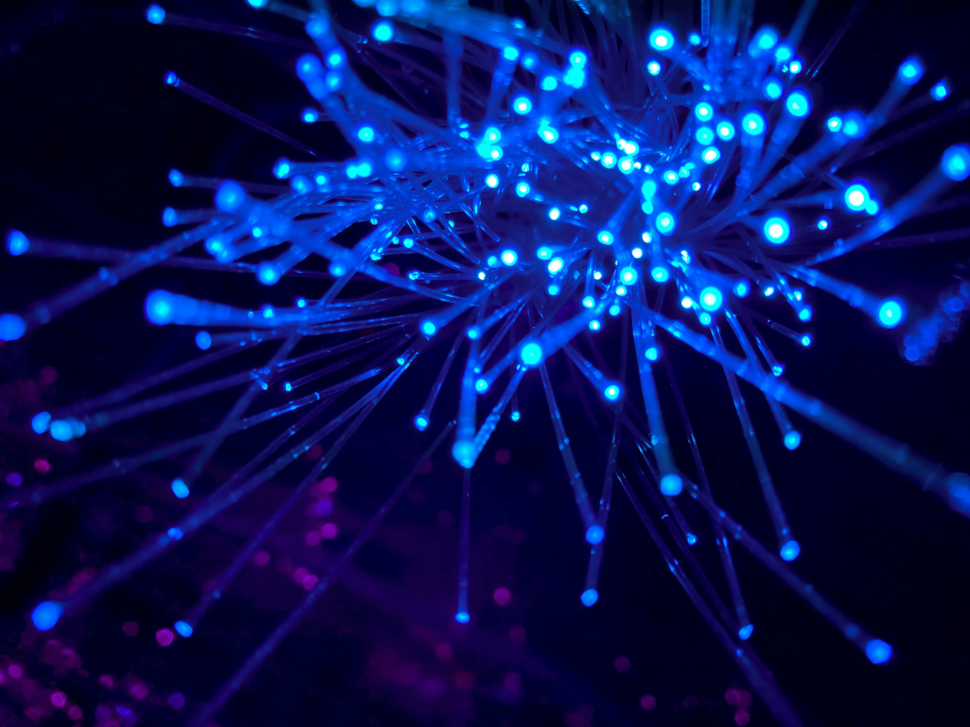 alina-grubnyak-ZiQkhI7417A-unsplash