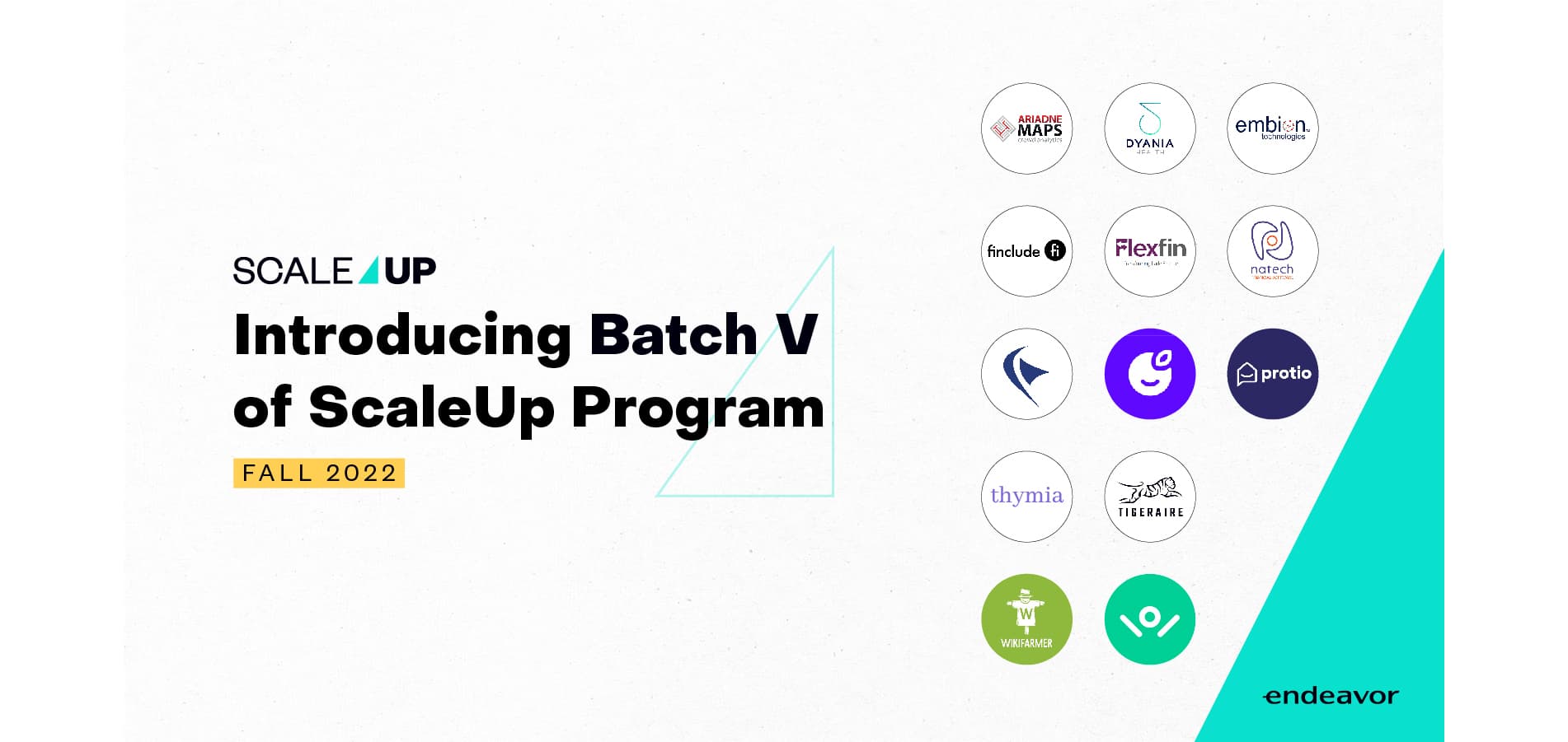 Endeavor Scale Up 5th batch: 13 most promising high-growth companies that lead the way
